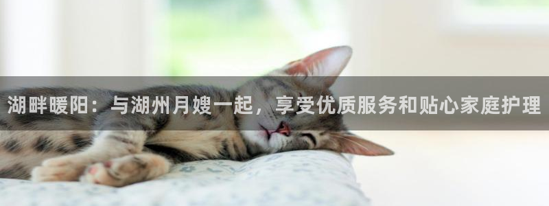 杏悦平台可靠吗可信吗知乎