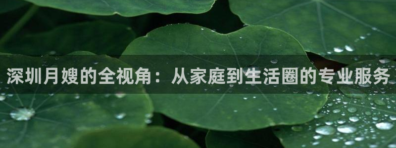 杏悦主管