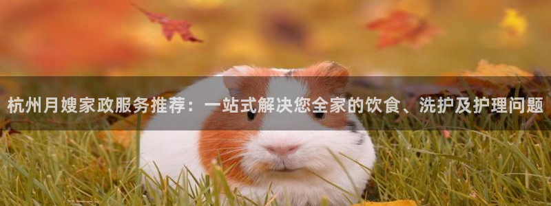 杏悦平台公司介绍