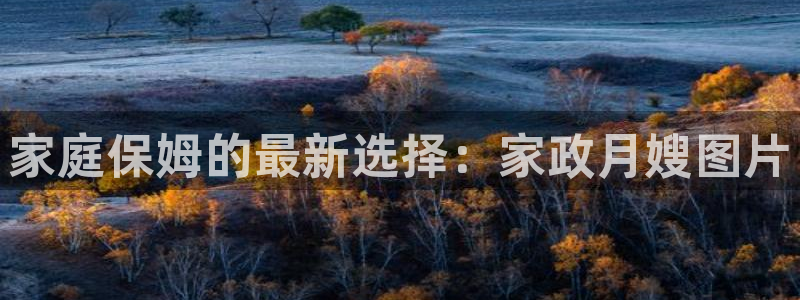 杏悦平台如何