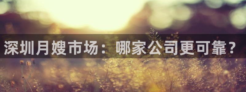 杏悦平台公司介绍