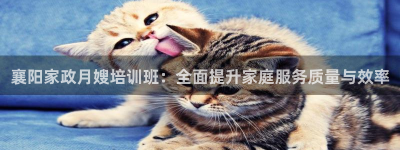 杏悦平台代理怎么样可靠吗