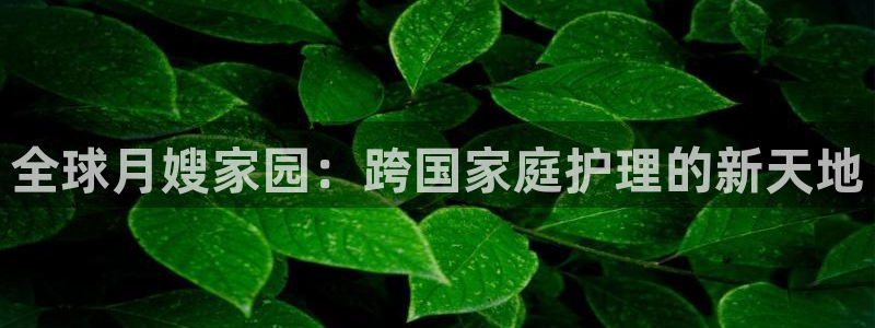 杏悦官方平台
