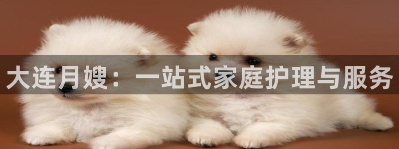 杏悦官方平台官网