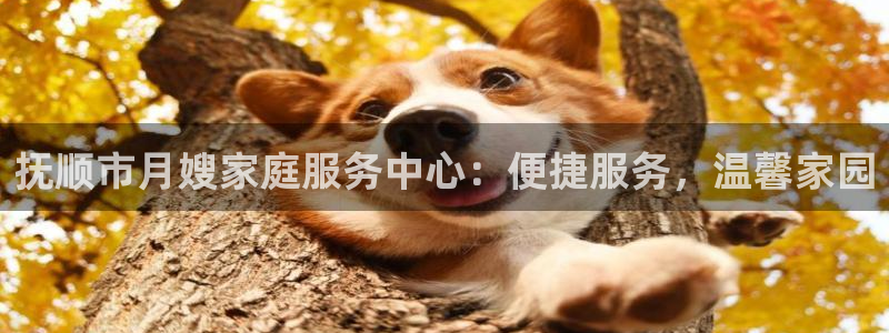 杏悦官方平台