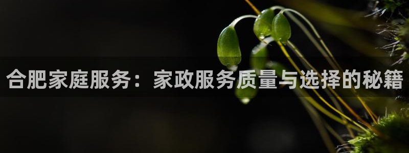 杏悦娱乐是什么
