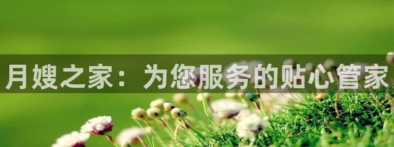 杏悦平台代理多少钱