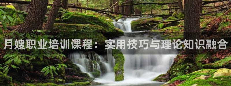杏悦平台可靠吗可信吗安全吗