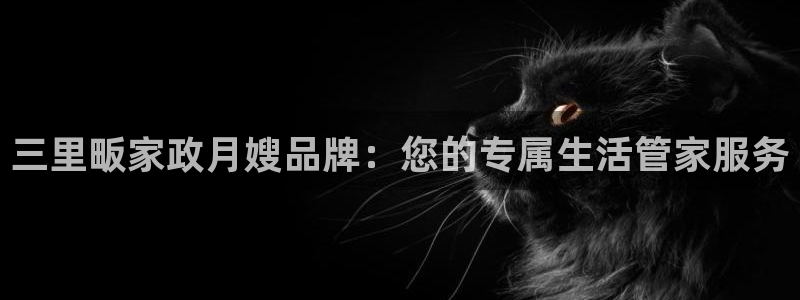 杏悦是什么平台