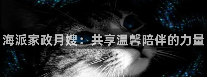 杏悦平台招商