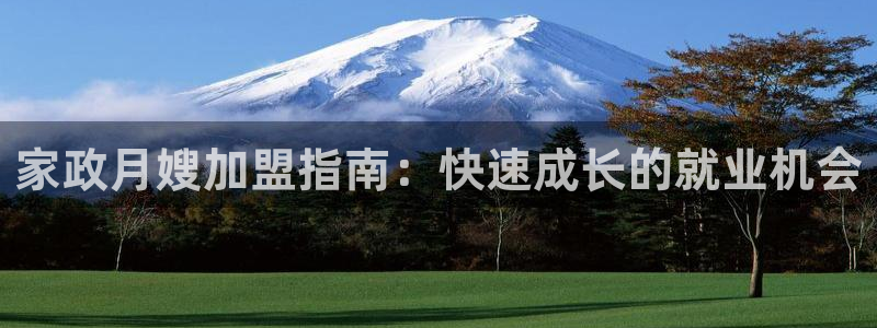 杏悦平台代理怎么赚钱
