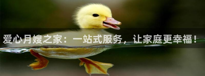 杏悦平台招商电话