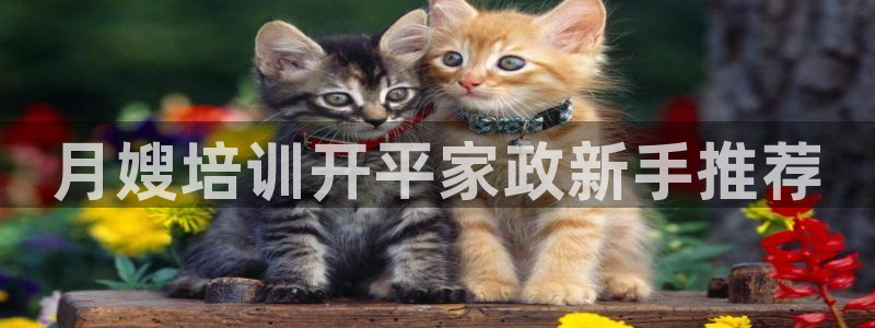 杏悦平台公司介绍