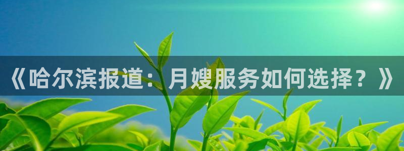 杏悦平台代理怎么做