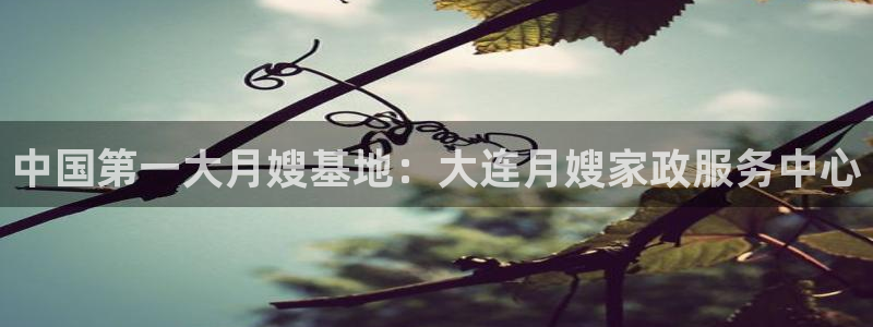 杏悦官方平台官网