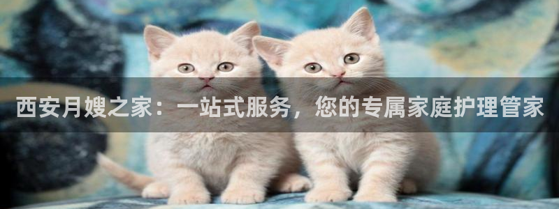 杏悦平台代理怎么样