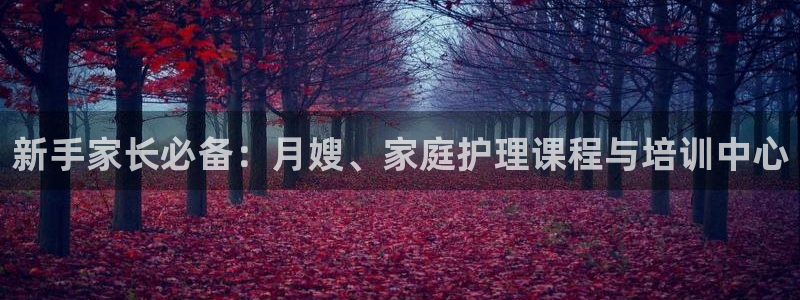 杏悦平台可靠吗是真的吗
