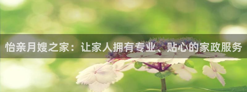 杏悦平台注册流程