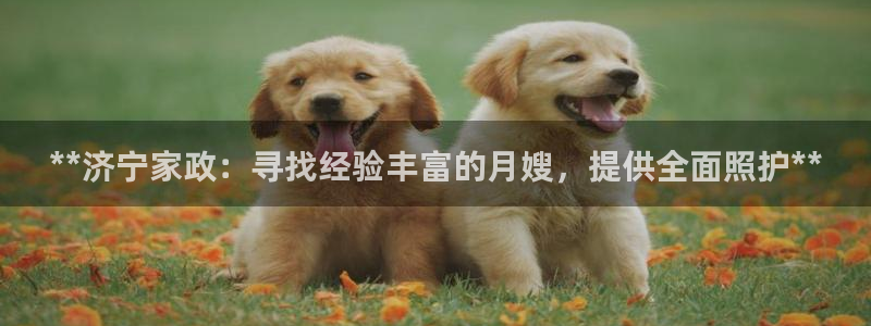 杏悦平台登录网址是什么