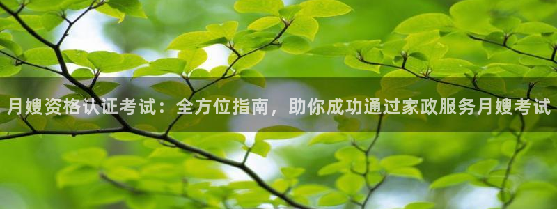 杏悦平台登录网址是多少