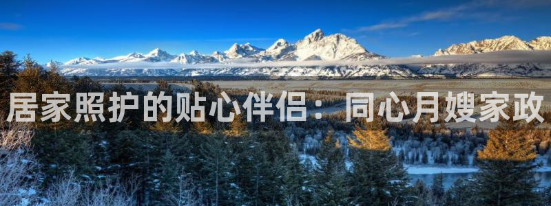 杏悦官网注册信息在哪里看