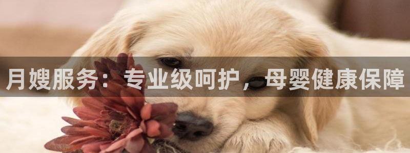 杏悦平台注册流程