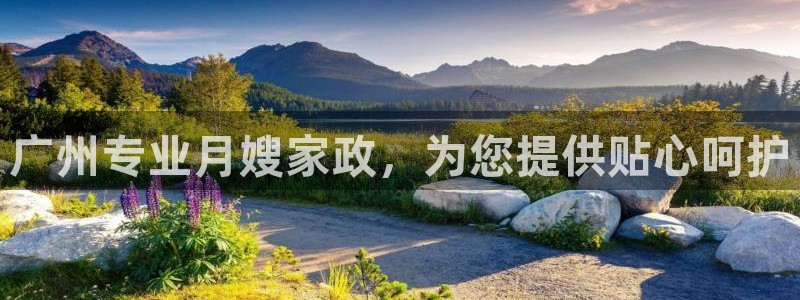 杏悦官网注册信息在哪里看