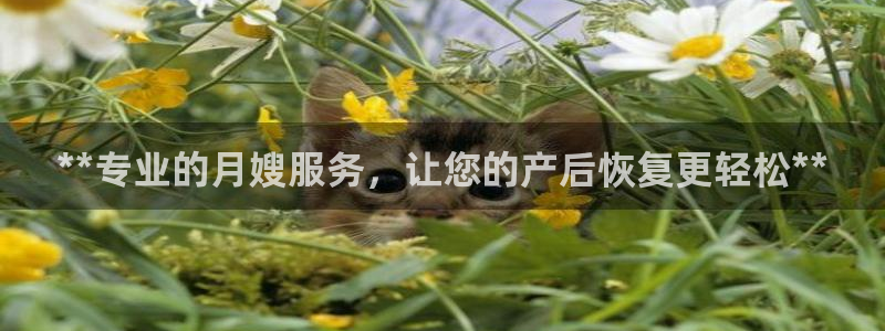 杏悦官网注册信息查询