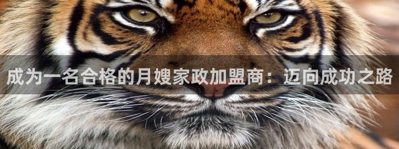 杏悦官网登录入口网址