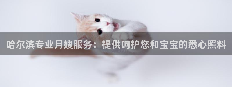 杏悦官网登录入口网址