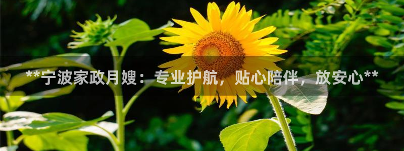 杏悦平台如何注册账号