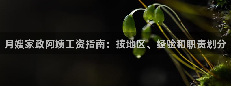 杏悦平台登录网址是什么