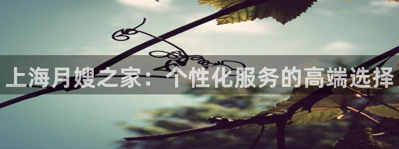 杏悦平台登录地址在哪里