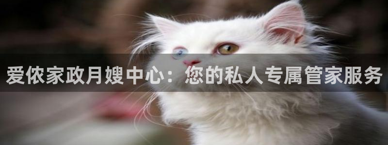 杏悦平台官网注册账号