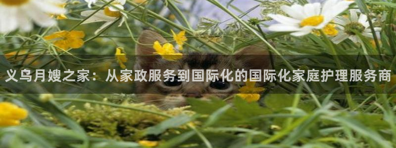 杏悦官网注册信息是什么样的