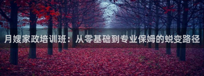 杏悦官网登录入口网址是多少