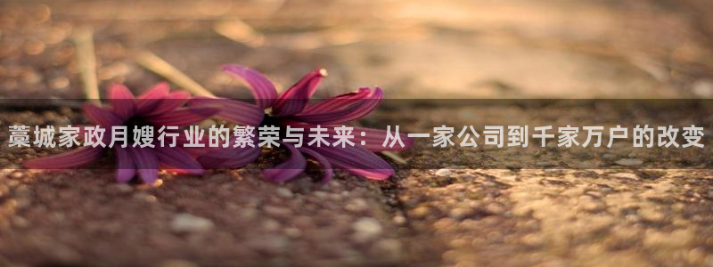 杏悦平台登录网址