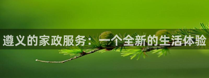 杏悦平台登录地址在哪里