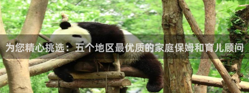 杏悦平台注册流程