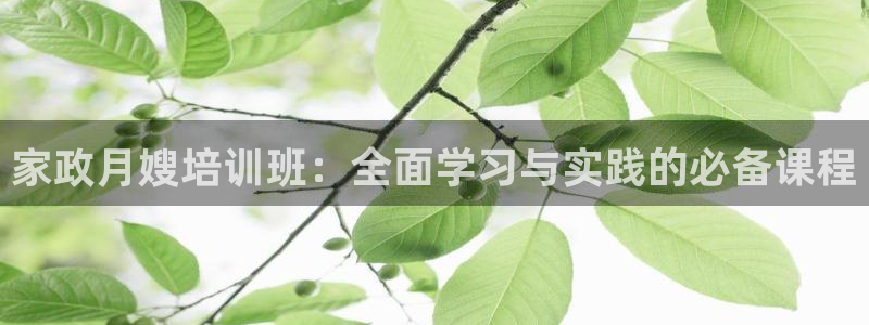 杏悦官网注册信息