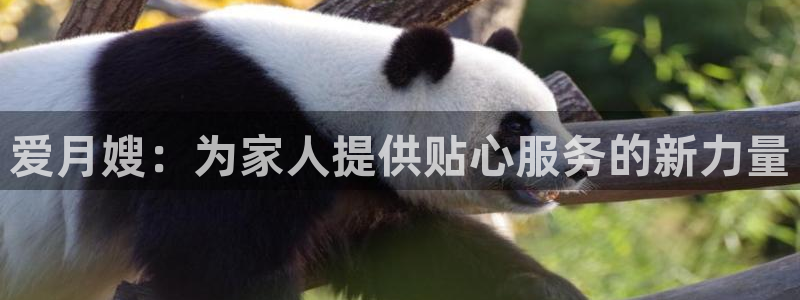 杏悦官网登录入口网址