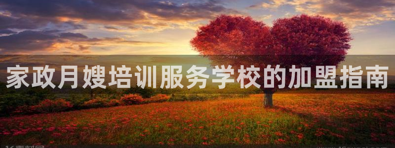 杏悦娱乐注册平台怎么样