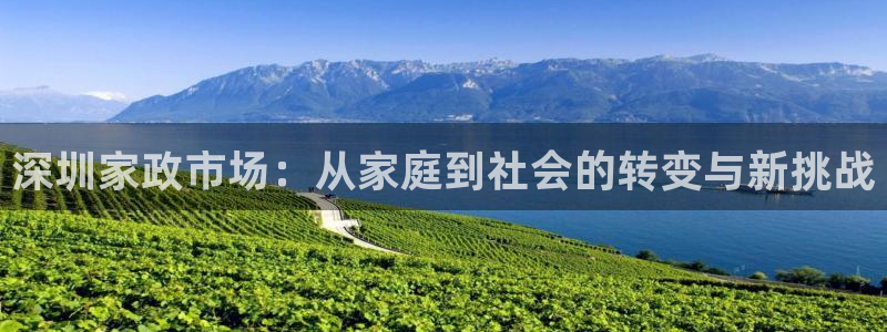 杏悦官网登录入口网址