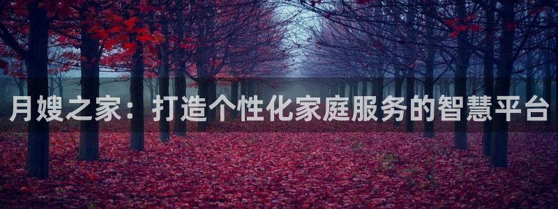 杏悦娱乐注册平台怎么样