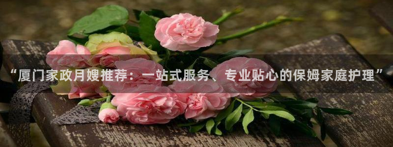 杏悦平台登录入口官网