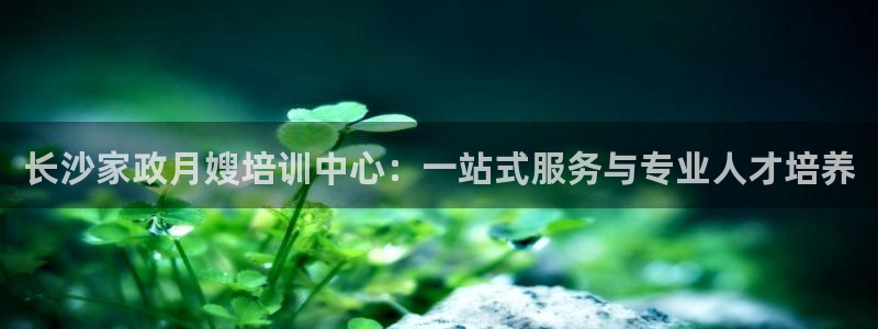 杏悦娱乐注册平台官网