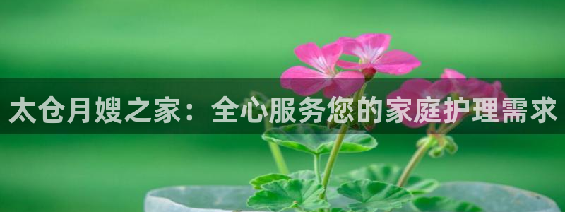 杏悦平台注册地址是哪里