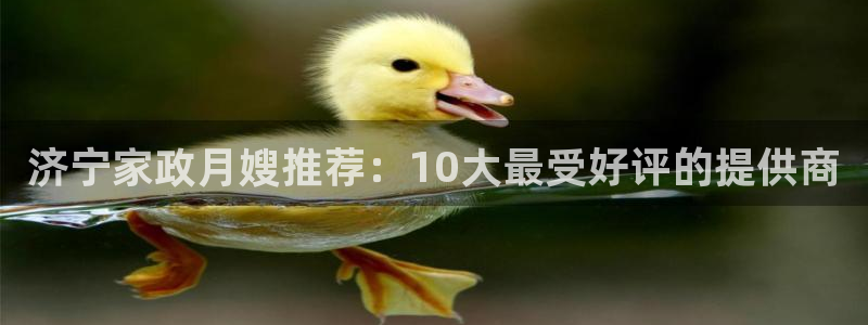 杏悦平台招商电话