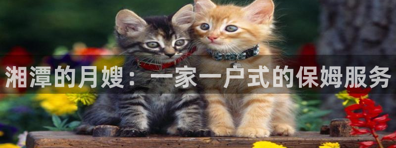 杏悦平台如何注册账号