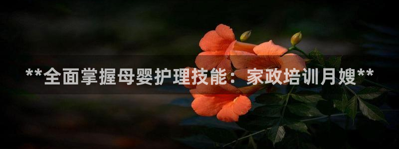 杏悦平台代理注册